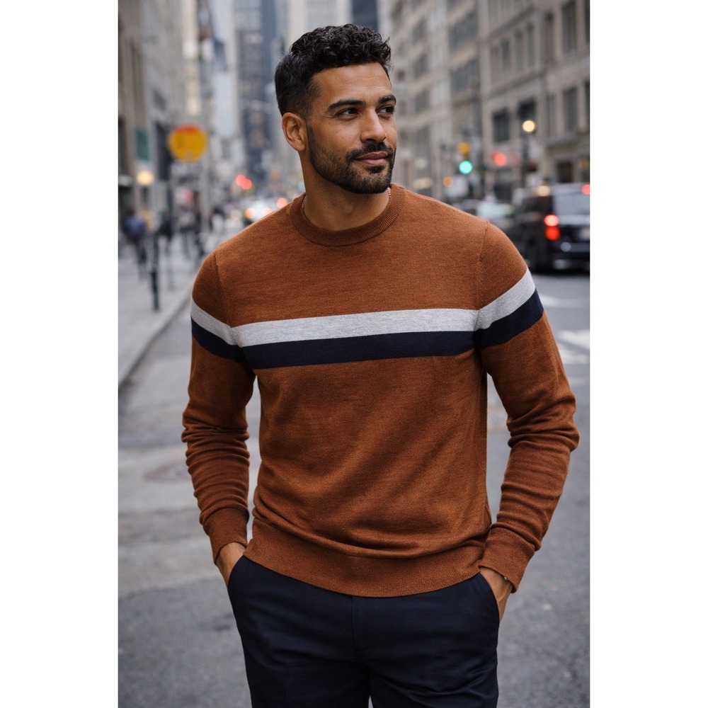 Express Crewneck Sweater Merino Wool Blend Striped Quiet Luxury Rust Large